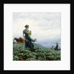 The Cabbage Field by Charles Courtney Curran