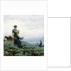 The Cabbage Field by Charles Courtney Curran