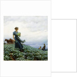 The Cabbage Field by Charles Courtney Curran