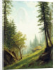Among the Bernese Alps by Albert Bierstadt