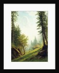 Among the Bernese Alps by Albert Bierstadt