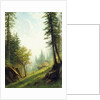 Among the Bernese Alps by Albert Bierstadt