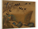 Mynah birds gathering in a tree by a stream from an album of bird paintings by Gao Qipei