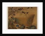 Mynah birds gathering in a tree by a stream from an album of bird paintings by Gao Qipei
