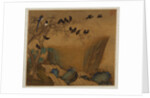 Mynah birds gathering in a tree by a stream from an album of bird paintings by Gao Qipei