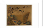 Mynah birds gathering in a tree by a stream from an album of bird paintings by Gao Qipei