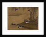 Mandarin ducks playing on a willow bank from an album of bird paintings by Gao Qipei