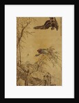 Falcon Hunting Prey by Hua Yan