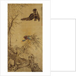 Falcon Hunting Prey by Hua Yan