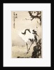 Crane under a Pine Tree by Gao Qifeng