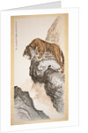Tiger by Zhang Shanzi