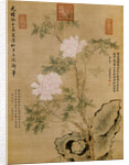 Peonies and Rock by Empress Dowager Cixi