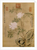 Peonies and Rock by Empress Dowager Cixi