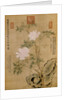 Peonies and Rock by Empress Dowager Cixi