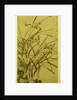Narcissus by Ma Shouzhen