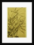 Narcissus by Ma Shouzhen