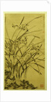 Narcissus by Ma Shouzhen