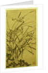 Narcissus by Ma Shouzhen