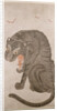 Tiger and Bats by Anonymous