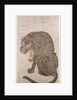 Tiger and Bats by Anonymous