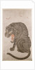 Tiger and Bats by Anonymous