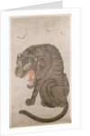 Tiger and Bats by Anonymous