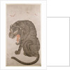 Tiger and Bats by Anonymous