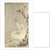 White Egrets on a Bank of Snow Covered Willows by Huang Shen
