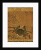 Crab among Grass and Bamboo by Anonymous