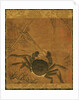 Crab among Grass and Bamboo by Anonymous