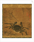 Crab among Grass and Bamboo by Anonymous