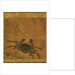 Crab among Grass and Bamboo by Anonymous