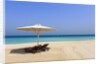 Parasol and recliner on the beach, Dubai by Anonymous