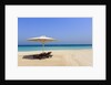Parasol and recliner on the beach, Dubai by Anonymous