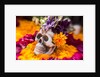 Flowers and Skull Laid out for Day of the Dead Celebration by Anonymous
