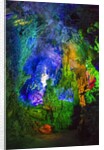 Multi Colored Lights in the Reed Flute Cave by Anonymous