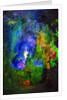 Multi Colored Lights in the Reed Flute Cave by Anonymous