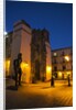 Night Lighting of the city of Guanajuato and the Statues of the main Jardin by Anonymous