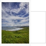 Coastline of Southern Oregon state by Anonymous