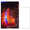 Multi Colored Lights in the Reed Flute Cave by Anonymous