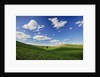 Rolling Wheat Fields with Lone Tree by Anonymous