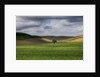 Rolling Wheat Fields with Lone Tree by Anonymous