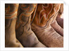 Line up of new cowboy boots in Old Scottsdale by Anonymous