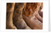 Line up of new cowboy boots in Old Scottsdale by Anonymous