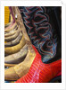 Line up of new cowboy boots in Old Scottsdale by Anonymous