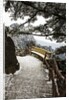 Evening Light on Hiking trail in the Yellow Mountains by Anonymous