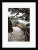 Evening Light on Hiking trail in the Yellow Mountains by Anonymous