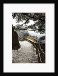 Evening Light on Hiking trail in the Yellow Mountains by Anonymous