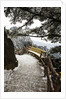 Evening Light on Hiking trail in the Yellow Mountains by Anonymous