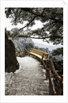 Evening Light on Hiking trail in the Yellow Mountains by Anonymous